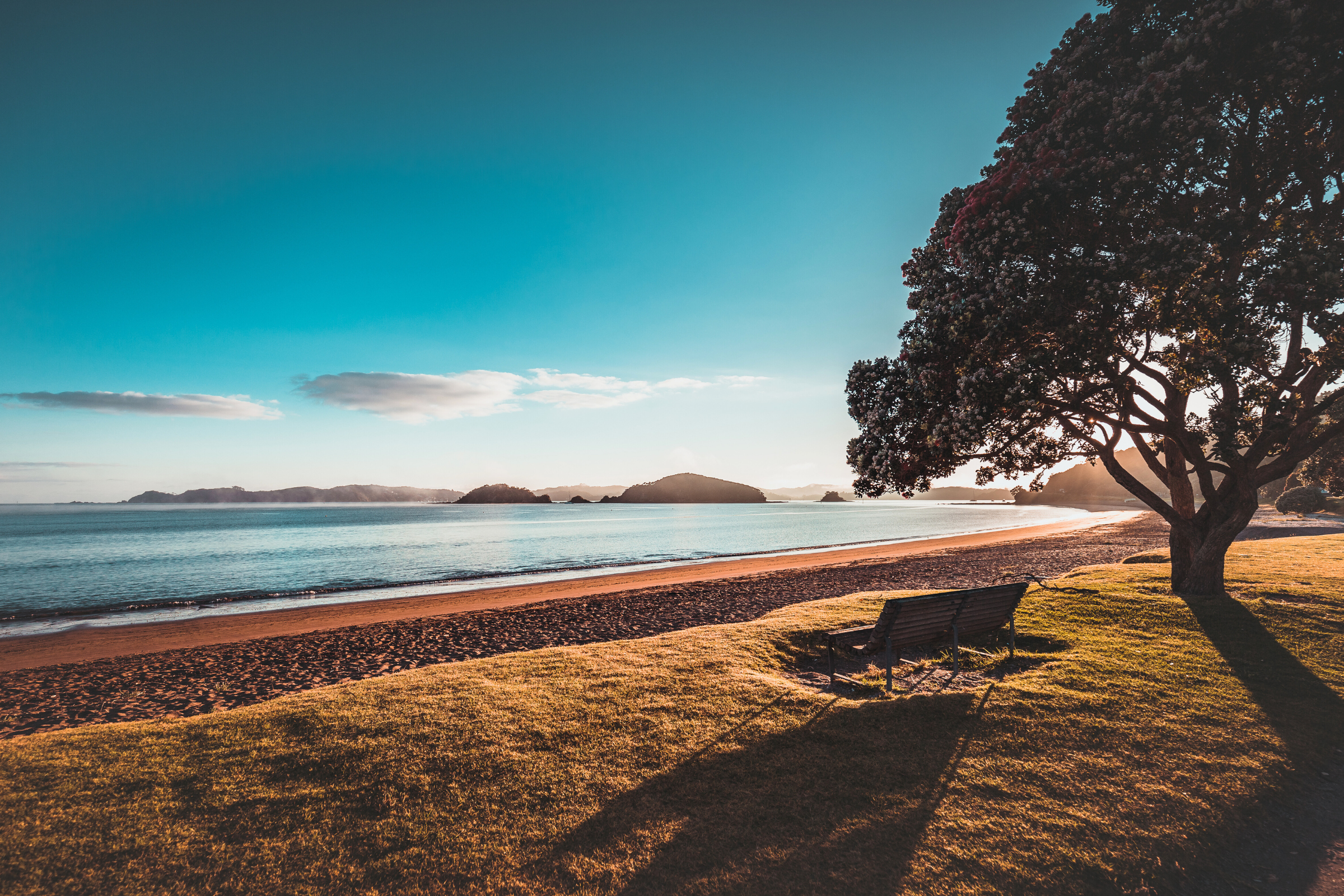 104 paihia.webp